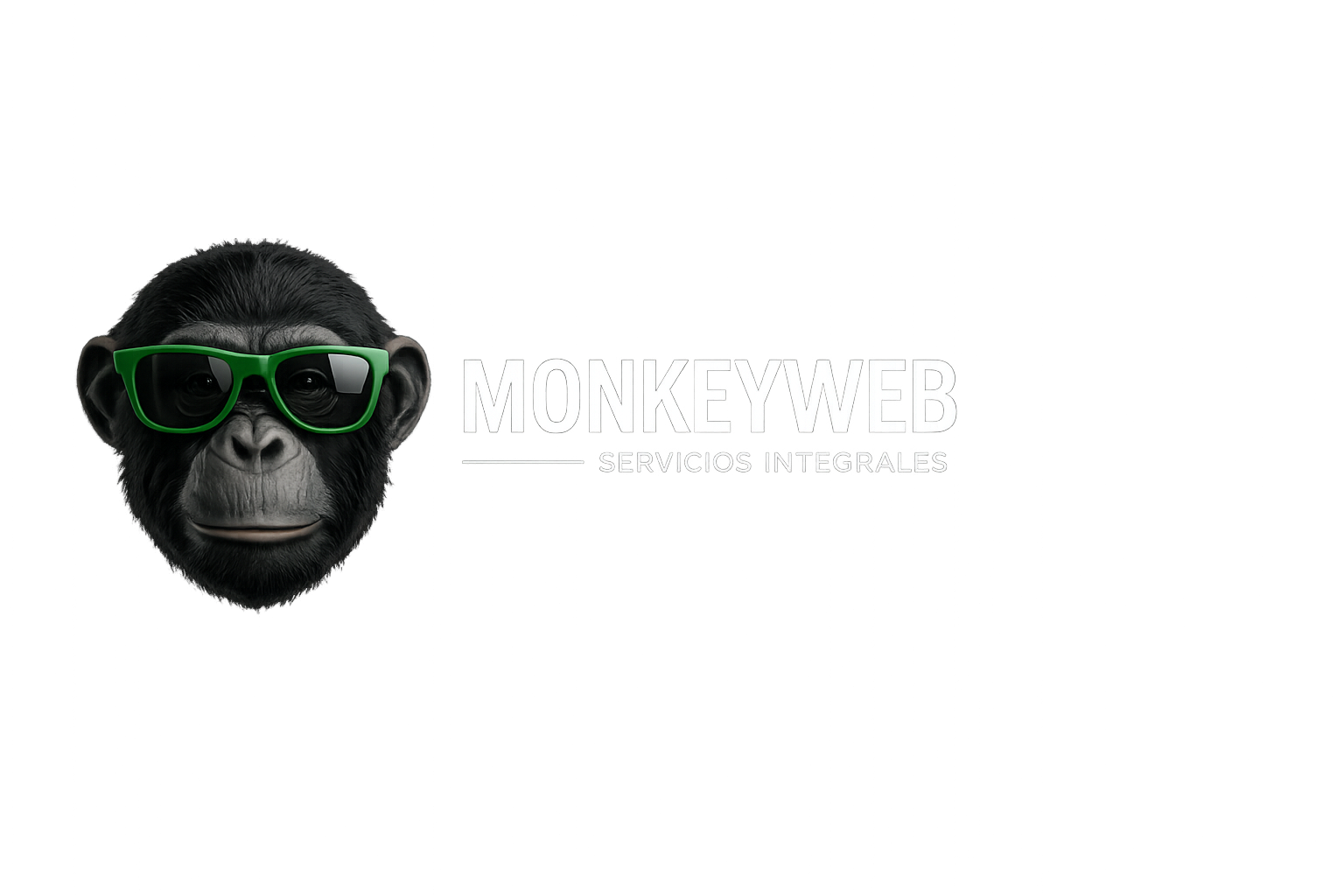 MonkeyWeb Servicios Integrales